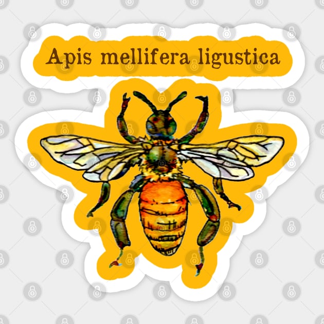 Italian honey bee Sticker by ThisIsNotAnImageOfLoss